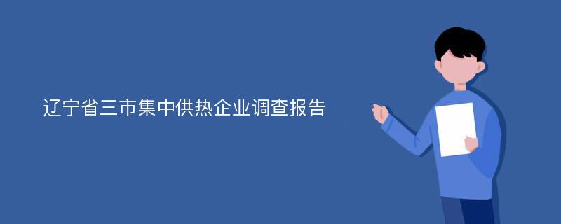 辽宁省三市集中供热企业调查报告