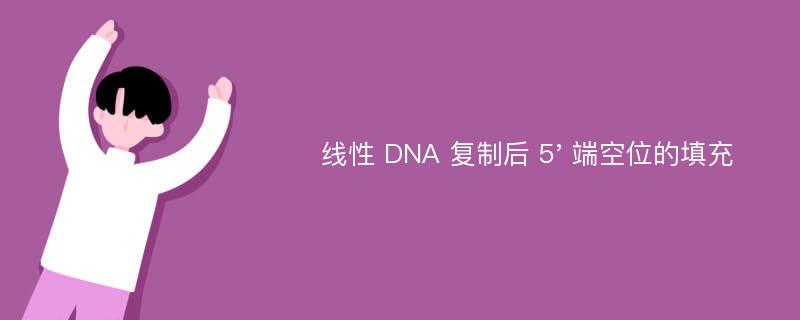 线性 DNA 复制后 5' 端空位的填充
